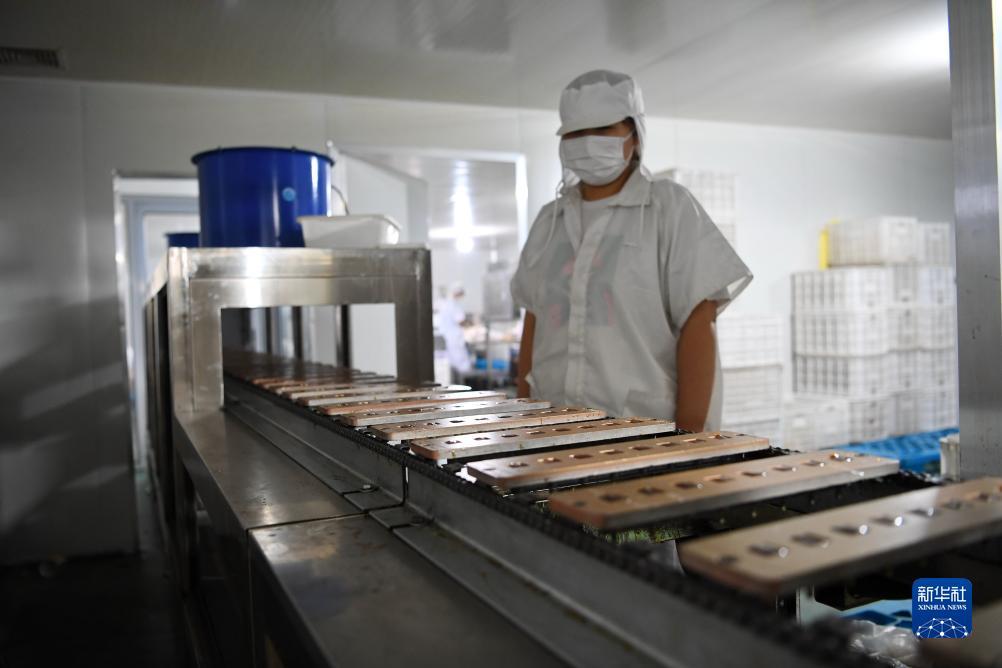 波克捕鱼国际版如何